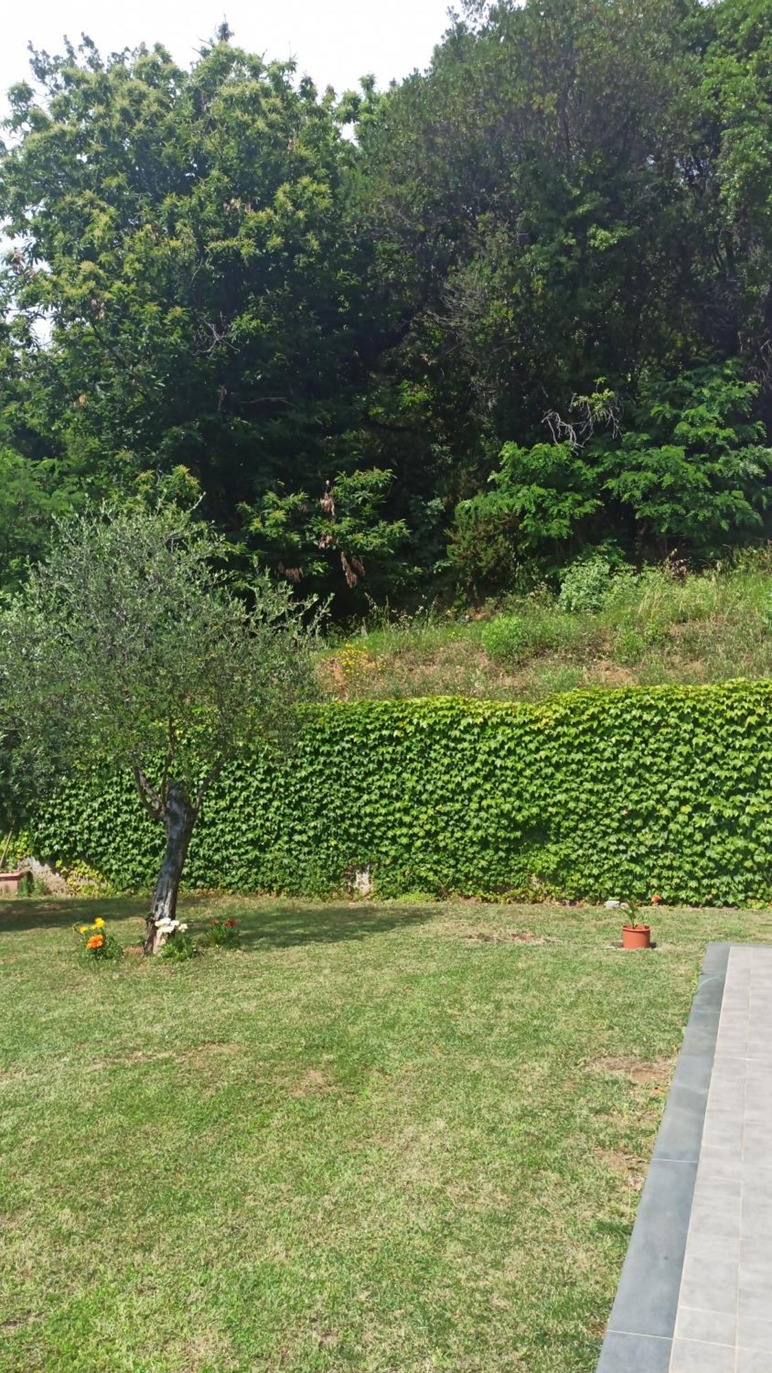 "Vento Di Levante Suite" Benvenuti In Collina Casarza Ligure Luaran gambar